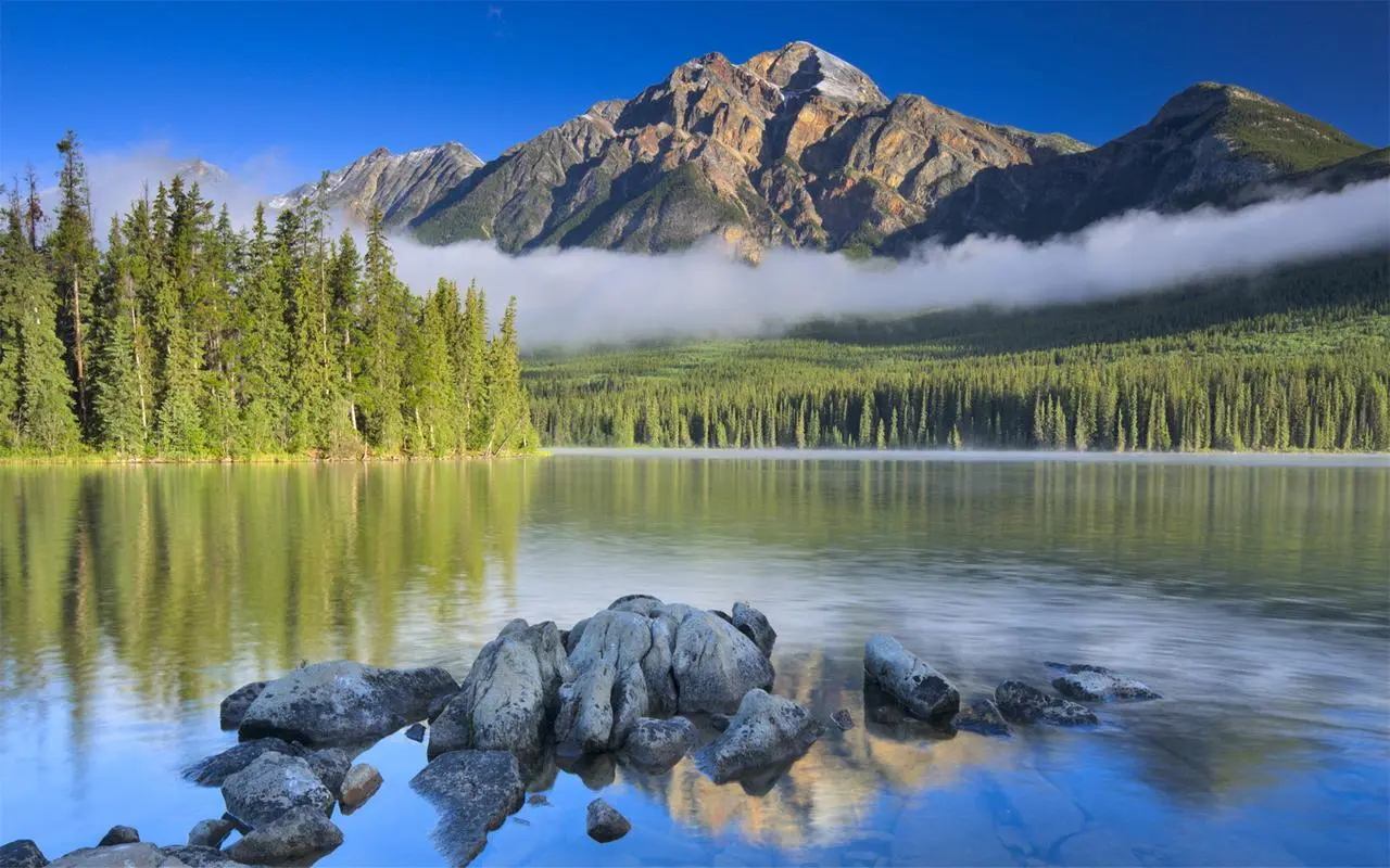 高质量智慧可靠性